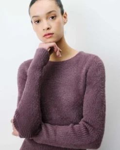 Pull doux près du corps col rond aubergine Auryn