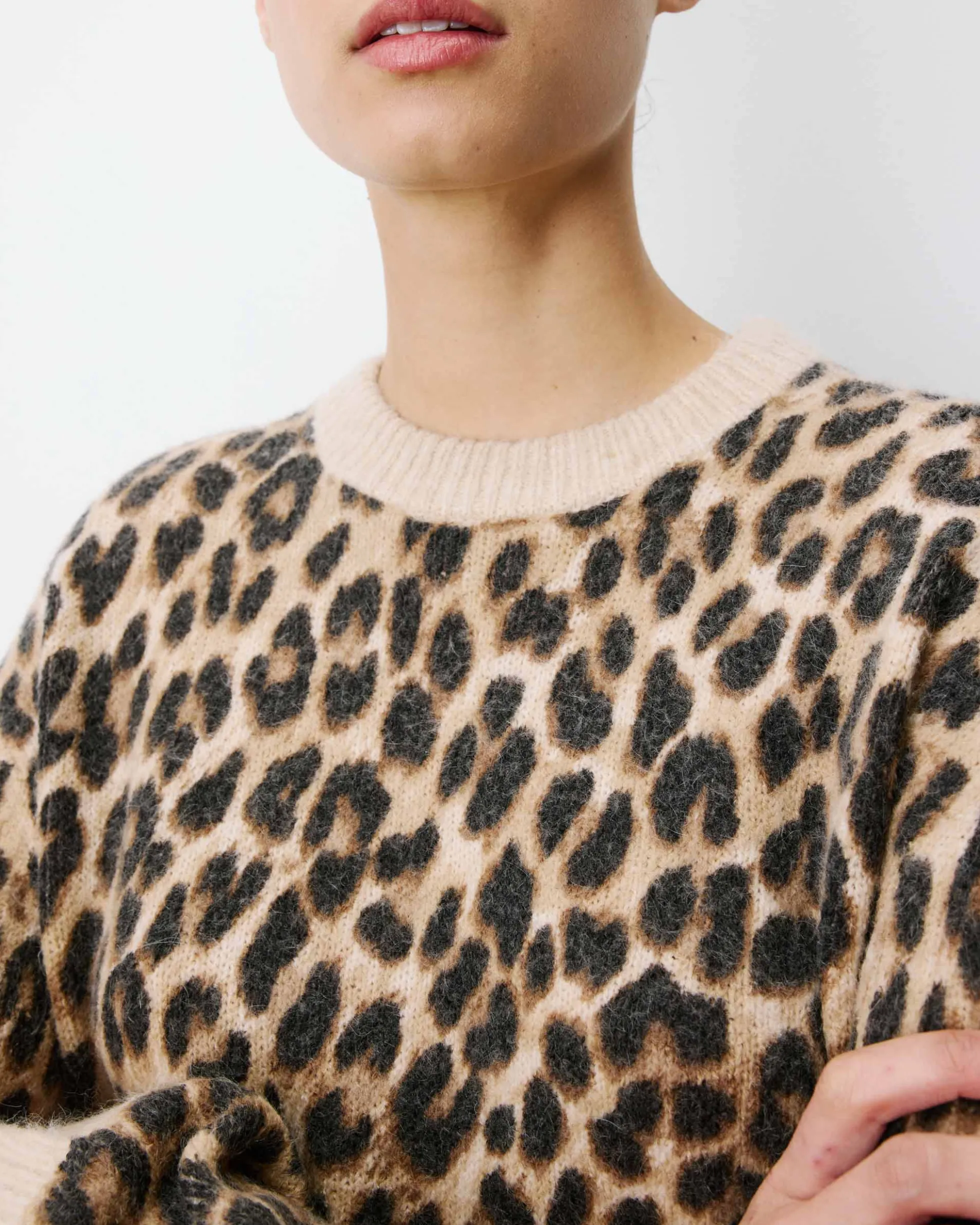 Pull manches longues col rond à motif leo Alexiel